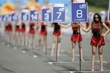 Pit babe F1 wallpaper 2008 (formula 1 girls)