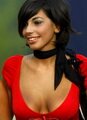 Pit babe F1 wallpaper 2008 (formula 1 girls)