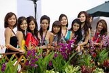 Pit babe F1 wallpaper 2008 (formula 1 girls)