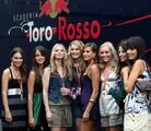 Pit babe F1 wallpaper 2008 (formula 1 girls)