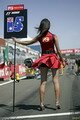 Pitbabe F1 wallpaper