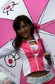 Pitbabe F1 wallpaper