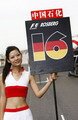 Pitbabe F1 wallpaper