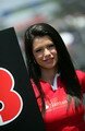 Pitbabe F1 wallpaper
